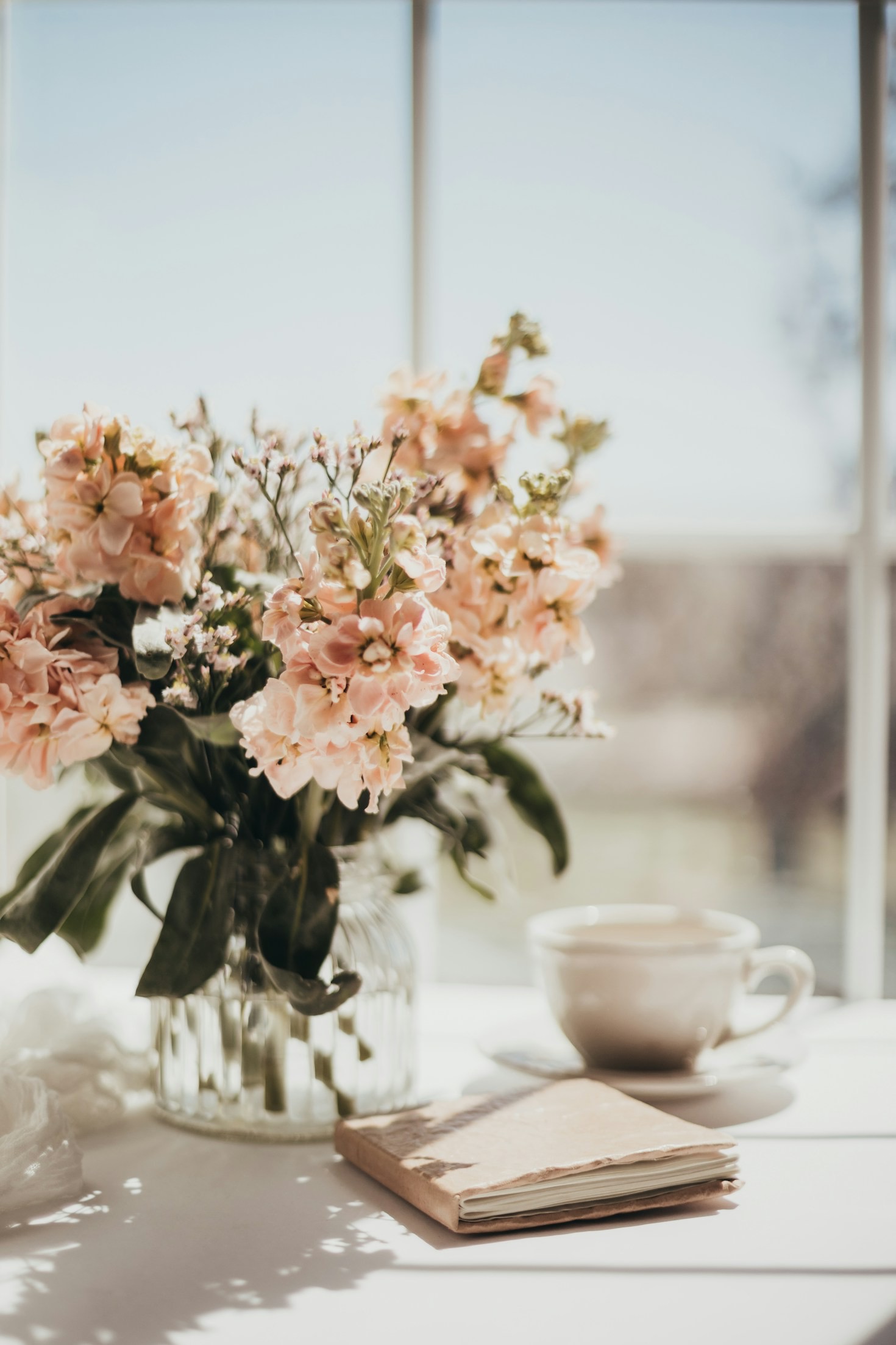 The Art of Finding Calm in Chaos